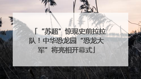 “苏超”惊现史前拉拉队！中华恐龙园“恐龙大军”将亮相开幕式