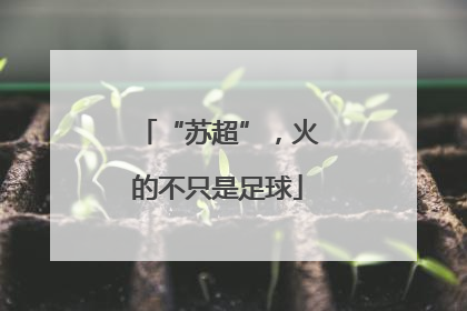 “苏超”，火的不只是足球