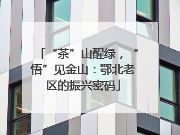 “茶”山醒绿，“悟”见金山：鄂北老区的振兴密码