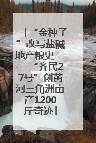 “金种子”改写盐碱地产粮史——“齐民27号”创黄河三角洲亩产1200斤奇迹