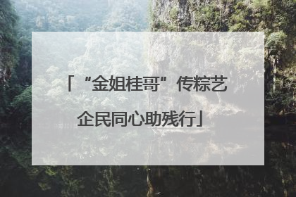 “金姐桂哥”传粽艺 企民同心助残行