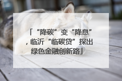 “降碳”变“降息”，临沂“临碳贷”探出绿色金融创新路