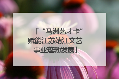 “马洲艺才卡”赋能江苏靖江文艺事业蓬勃发展