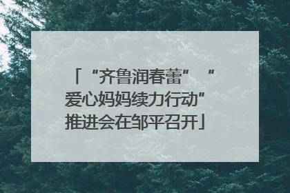 “齐鲁润春蕾”“爱心妈妈续力行动”推进会在邹平召开