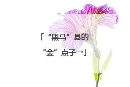 “黑马”县的“金”点子→