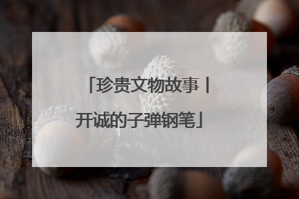 珍贵文物故事丨开诚的子弹钢笔