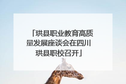 珙县职业教育高质量发展座谈会在四川珙县职校召开