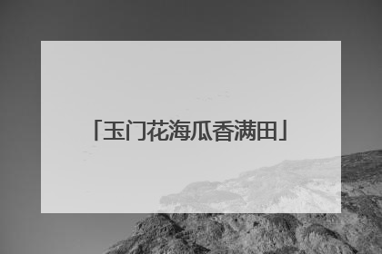 玉门花海瓜香满田