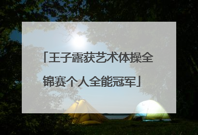 王子露获艺术体操全锦赛个人全能冠军