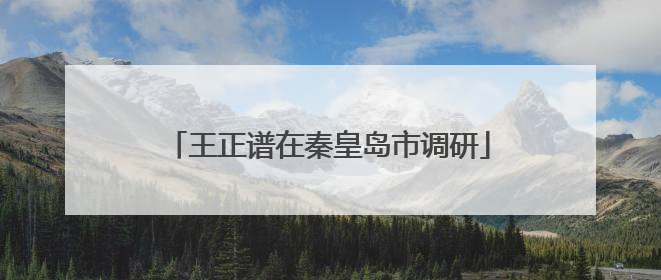 王正谱在秦皇岛市调研