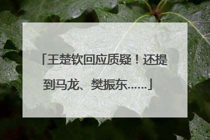 王楚钦回应质疑！还提到马龙、樊振东……