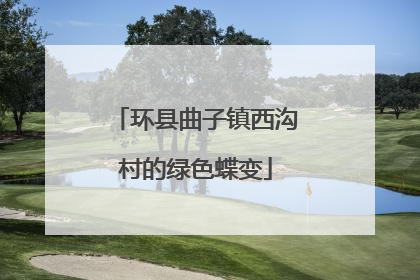 环县曲子镇西沟村的绿色蝶变