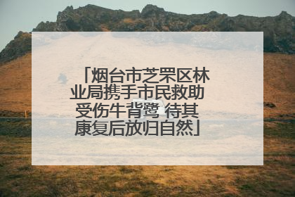 烟台市芝罘区林业局携手市民救助受伤牛背鹭 待其康复后放归自然