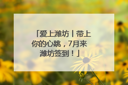 爱上潍坊丨带上你的心跳，7月来潍坊签到！