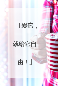 爱它，就给它自由！