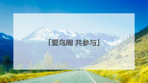 爱鸟周 共参与