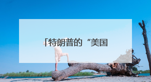 特朗普的“美国优先”执念：“伊朗必须在被彻底摧毁前达成协议”