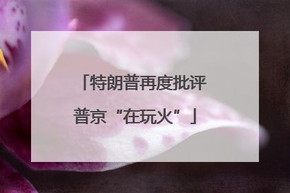 特朗普再度批评普京“在玩火”