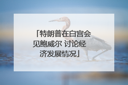特朗普在白宫会见鲍威尔 讨论经济发展情况
