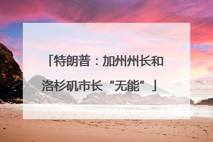 特朗普：加州州长和洛杉矶市长“无能”