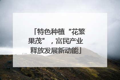 特色种植“花繁果茂”，富民产业释放发展新动能