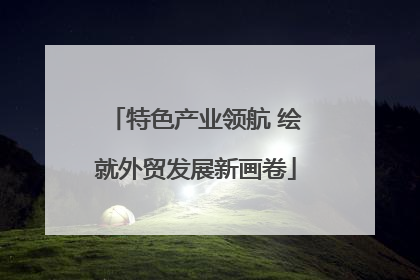 特色产业领航 绘就外贸发展新画卷