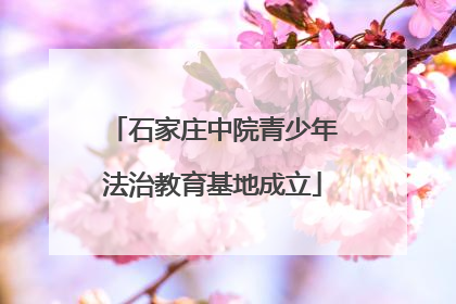 石家庄中院青少年法治教育基地成立
