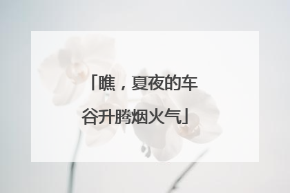 瞧，夏夜的车谷升腾烟火气