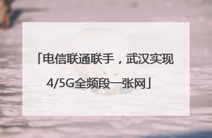 电信联通联手，武汉实现4/5G全频段一张网
