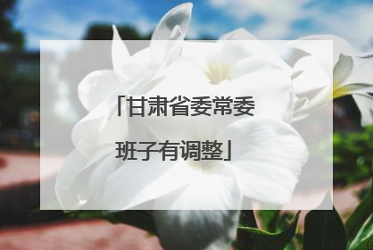 甘肃省委常委班子有调整
