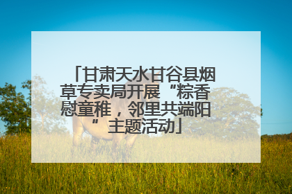 甘肃天水甘谷县烟草专卖局开展“粽香慰童稚，邻里共端阳”主题活动