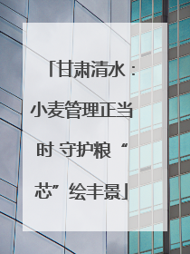 甘肃清水：小麦管理正当时 守护粮“芯”绘丰景