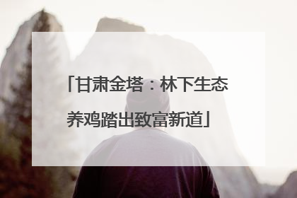 甘肃金塔：林下生态养鸡踏出致富新道
