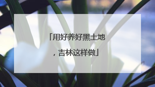 用好养好黑土地，吉林这样做