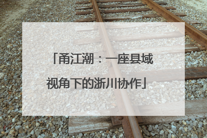 甬江潮：一座县域视角下的浙川协作