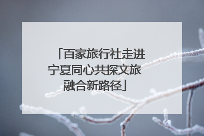 百家旅行社走进宁夏同心共探文旅融合新路径