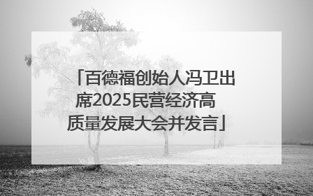 百德福创始人冯卫出席2025民营经济高质量发展大会并发言