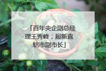 百年央企副总经理王秀峰，履新直辖市副市长