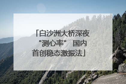 白沙洲大桥深夜“测心率” 国内首创稳态激振法