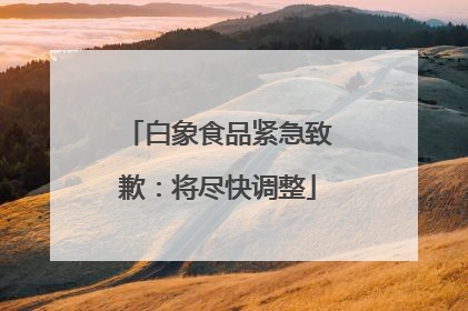 白象食品紧急致歉：将尽快调整