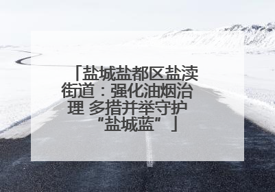 盐城盐都区盐渎街道：强化油烟治理 多措并举守护“盐城蓝”