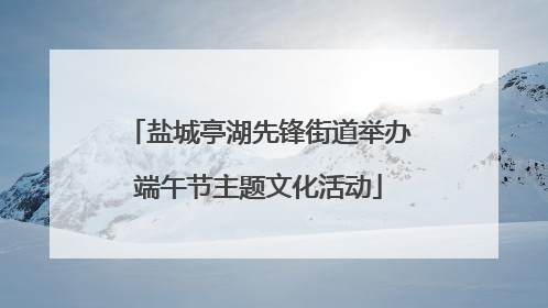盐城亭湖先锋街道举办端午节主题文化活动