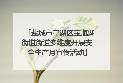 盐城市亭湖区宝瓶湖街道街道多维度开展安全生产月宣传活动