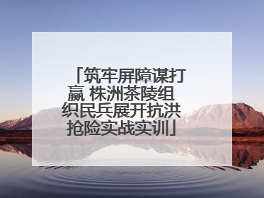 筑牢屏障谋打赢 株洲茶陵组织民兵展开抗洪抢险实战实训