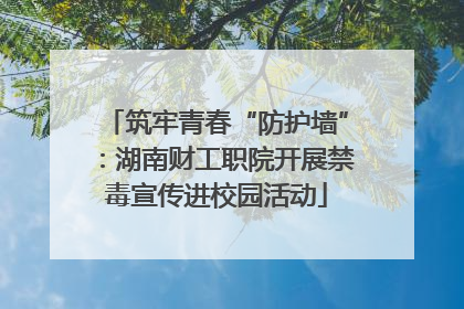 筑牢青春“防护墙”：湖南财工职院开展禁毒宣传进校园活动