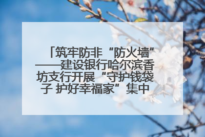 筑牢防非“防火墙”——建设银行哈尔滨香坊支行开展“守护钱袋子 护好幸福家”集中宣传日活动