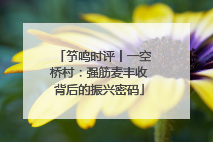 筝鸣时评丨一空桥村：强筋麦丰收背后的振兴密码
