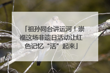 祖孙同台讲运河！崇福这场非遗日活动让红色记忆“活”起来