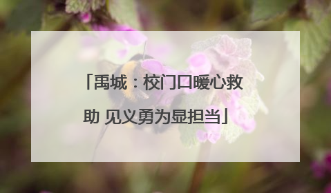 禹城：校门口暖心救助 见义勇为显担当
