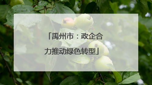 禹州市：政企合力推动绿色转型